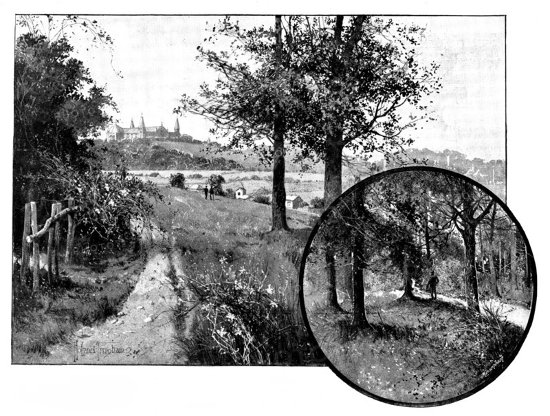 Churchyard Bottom Wood, Highgate, the spoliation of which is under discussion, 1895. Creator: George Meisenbach.