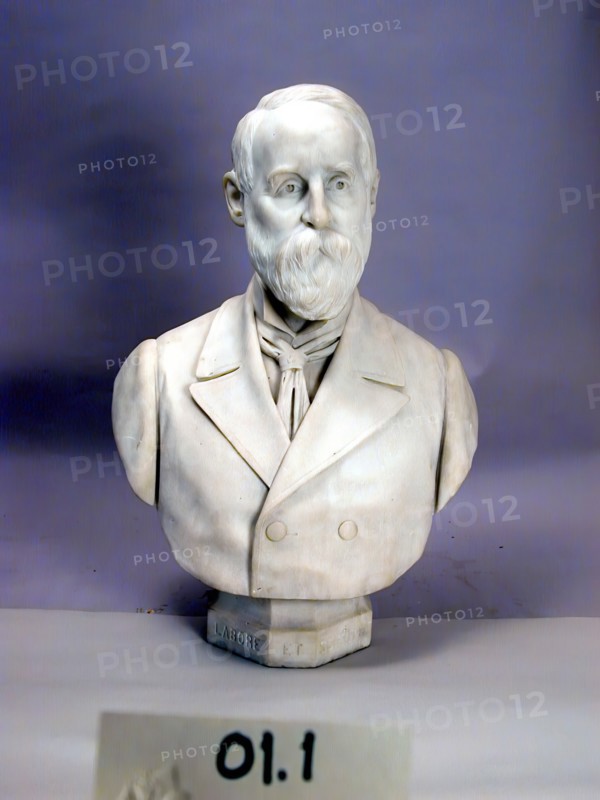 Frederick Stearns, 1899. Creator: Angelo Viotti.