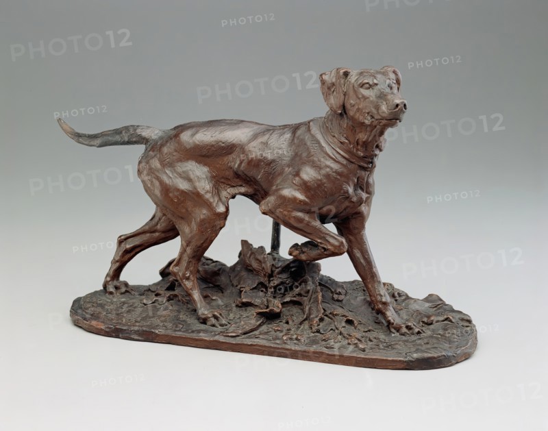 French Pointer, 1863. Creator: Pierre-Jules Mene.