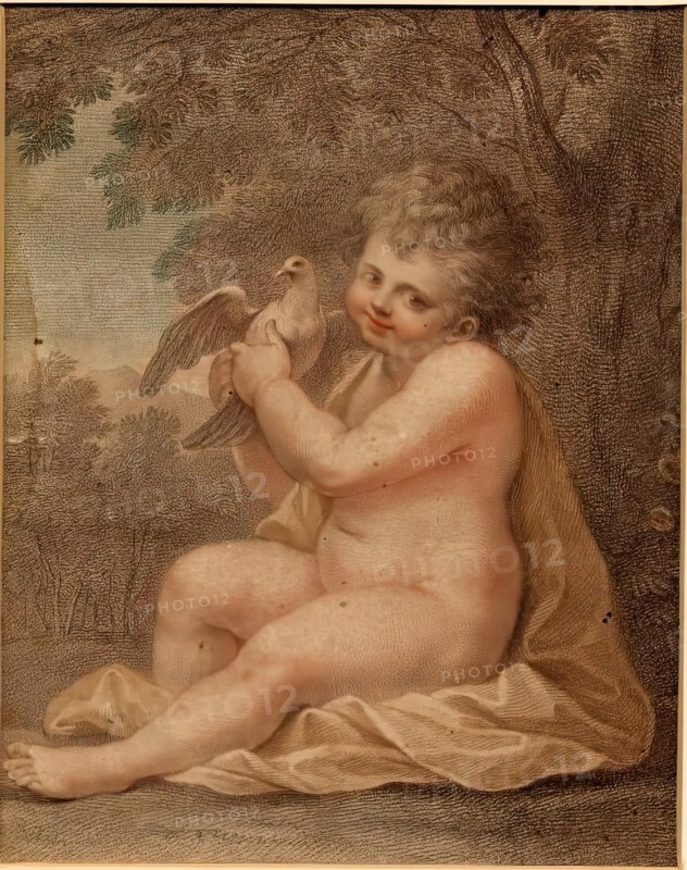 Young Boy With A Dove, 1775-1799. Creator: Francesco Bartolozzi.
