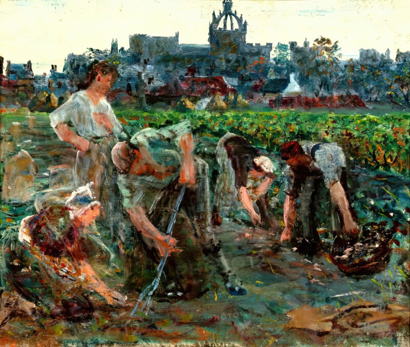 Potato Diggers, Kings College, c1900s. Creator: George Sherwood Hunter.