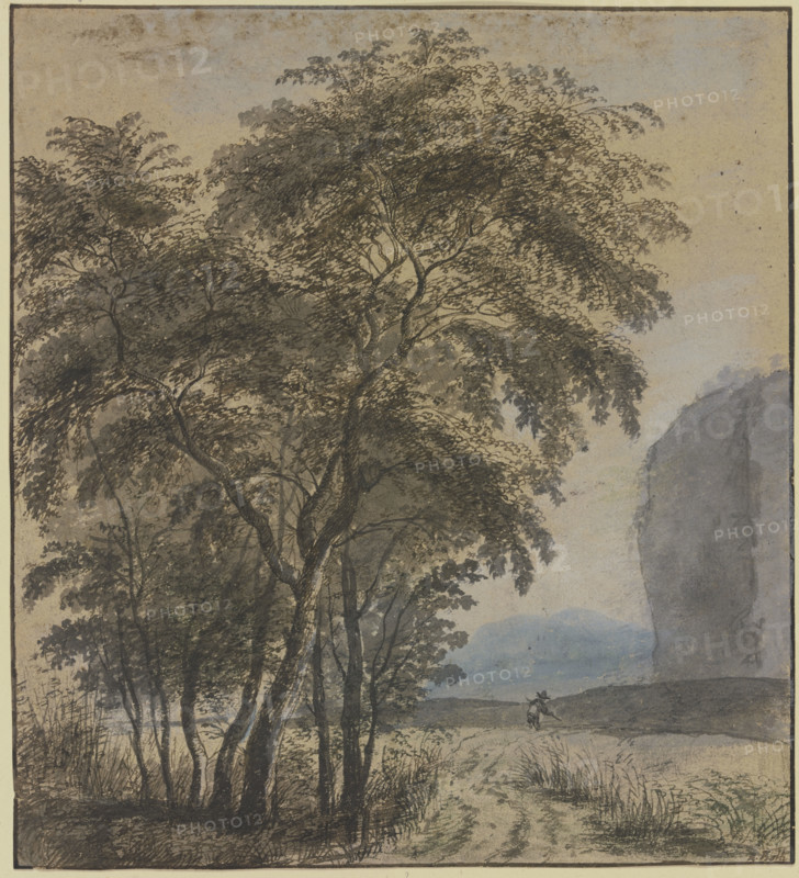 Group of trees, a rock and a man on the right. Creator: Jan Dirksz Both.