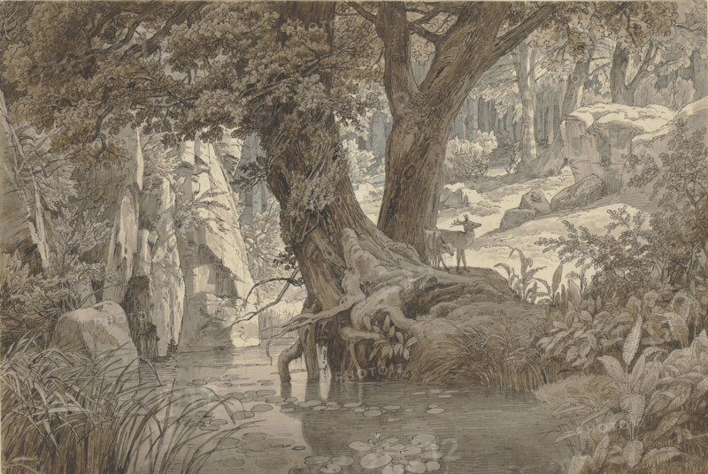 Forest landscape, 1832. Creator: Johann Wilhelm Schirmer.