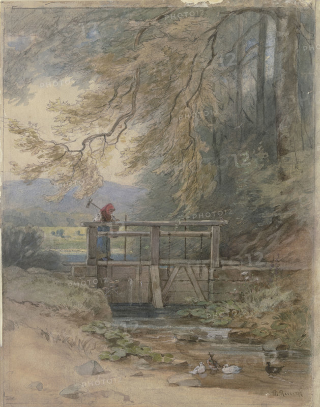 Forest landscape with weir, c1840-1890s. Creator: Philipp Rumpf.