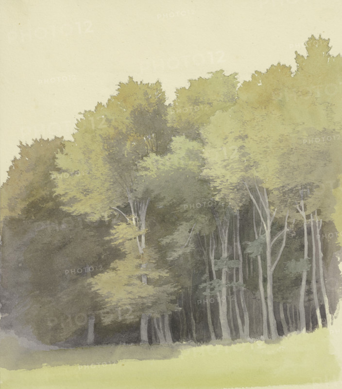 Edge of a wood, c1853. Creator: Carl Theodor Reiffenstein.