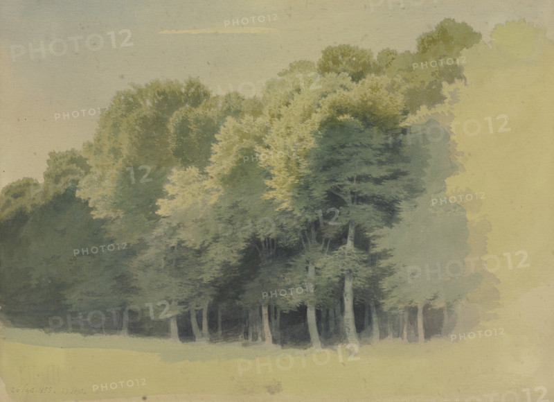 Edge of a wood, 1855. Creator: Carl Theodor Reiffenstein.