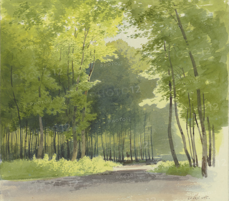 Forest section, 1855. Creator: Carl Theodor Reiffenstein.