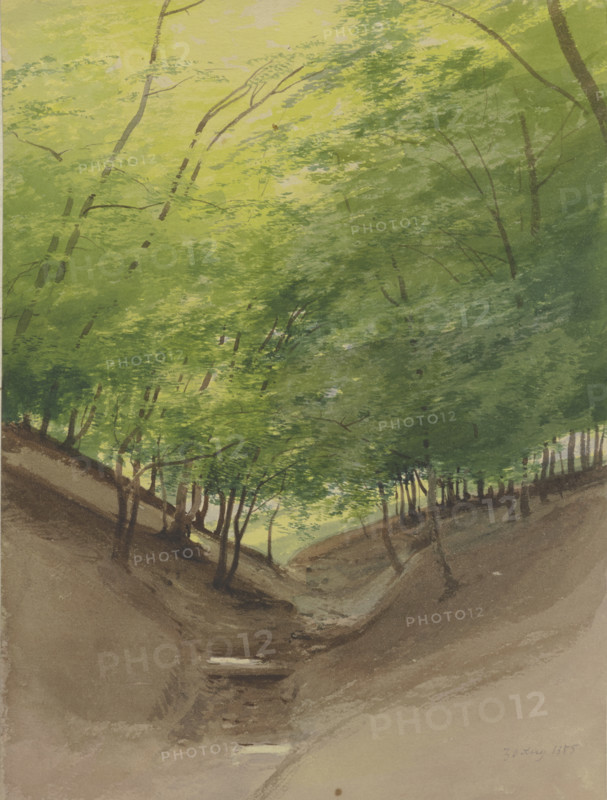 Course of a stream in a forest, 1855. Creator: Carl Theodor Reiffenstein.