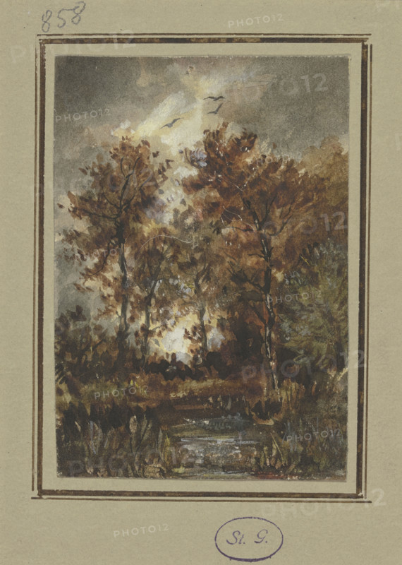 Autumn scenery with a brook, mid-late 19th century. Creator: Jakob Maurer.