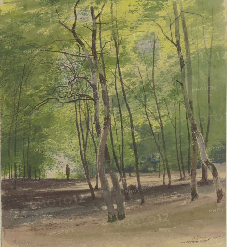Forest near Braunfels, 1855. Creator: Carl Theodor Reiffenstein.