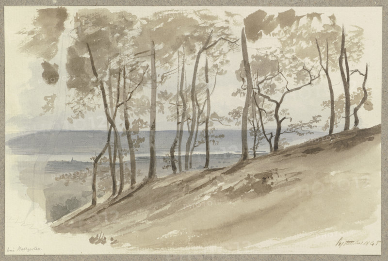 Group of trees on a slope near Hallgarten, the Rhine and a ridge in the background, 1845. Creator: Carl Theodor Reiffenstein.