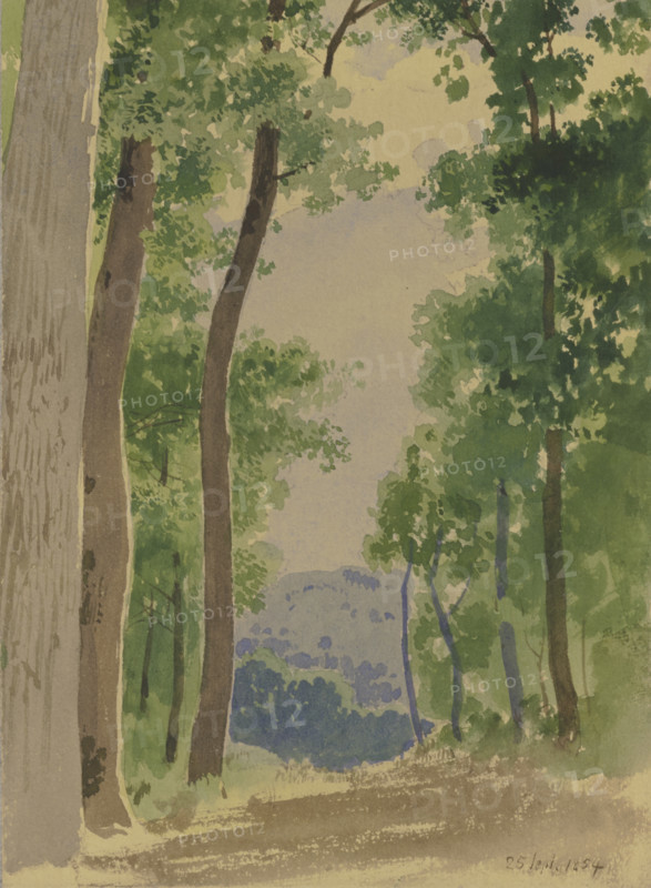 Forest path, 1854. Creator: Carl Theodor Reiffenstein.