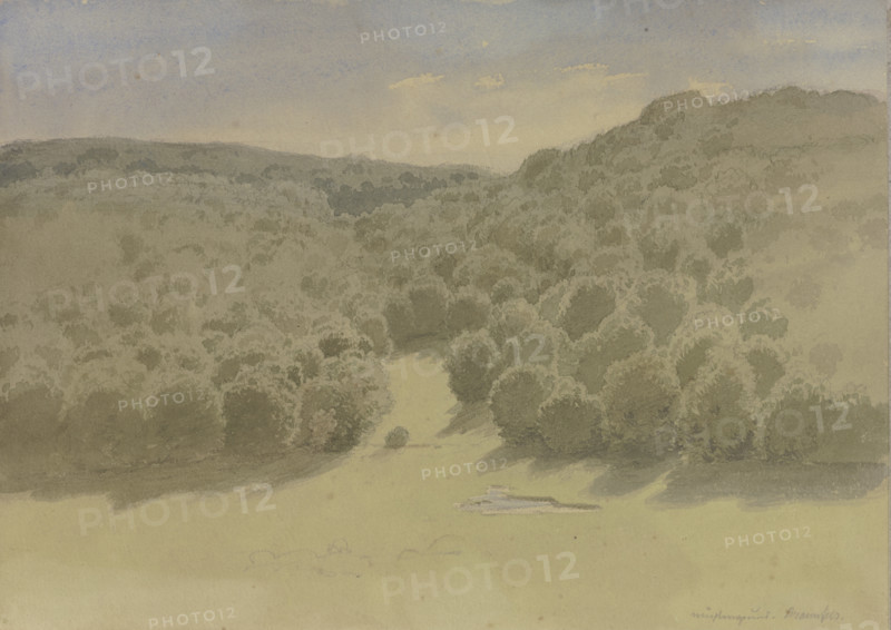 The Muhlengrund near Braunfels, 1854. Creator: Carl Theodor Reiffenstein.