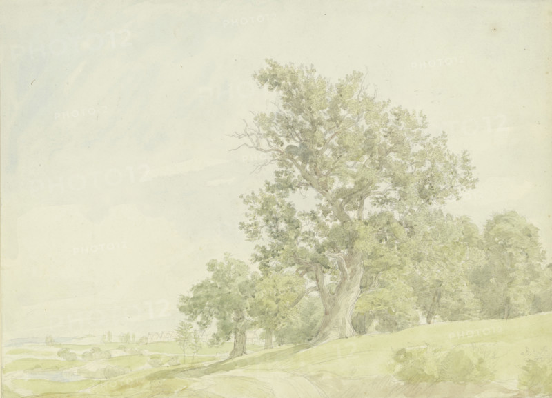 Forest edge at the slope, c1850-1900. Creator: Peter Becker.