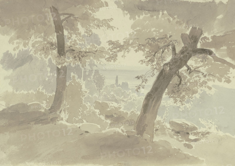 View from the forest of Kronberg Castle, c1840s. Creator: Carl Theodor Reiffenstein.