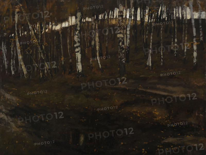 Birch Forest, 1880. Creator: Carl Schuch.