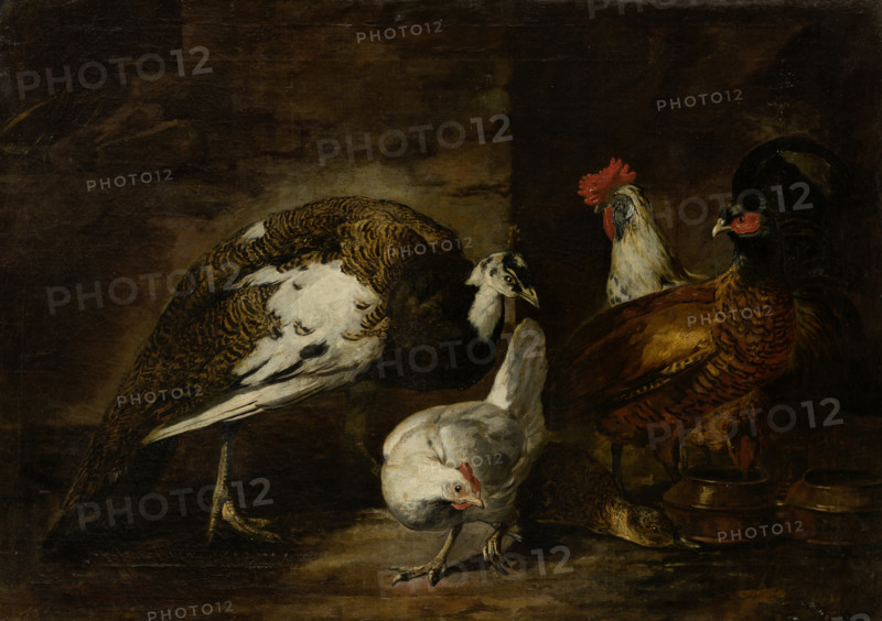 Poultry Yard with Peacock and Peahen, 1601-1700. Creator: Mario Nuzzi.