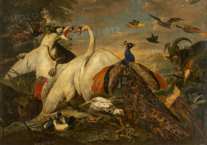 Fighting Animals as Allegory of the Combat between Virtue and Vice, c1650-1667. Creator: Pieter Boel.