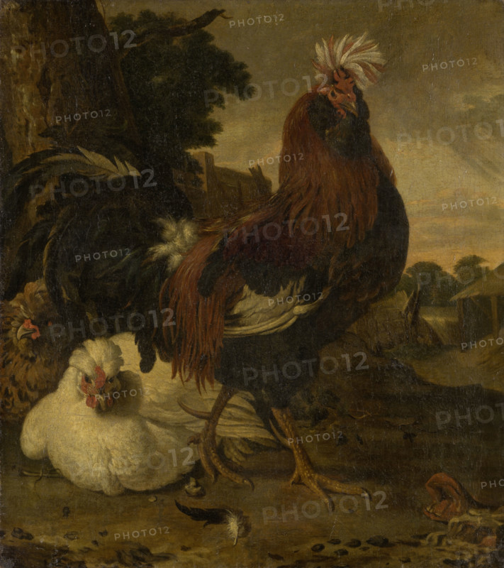 Cock in a Barnyard, 18th century. Creator: Unknown.