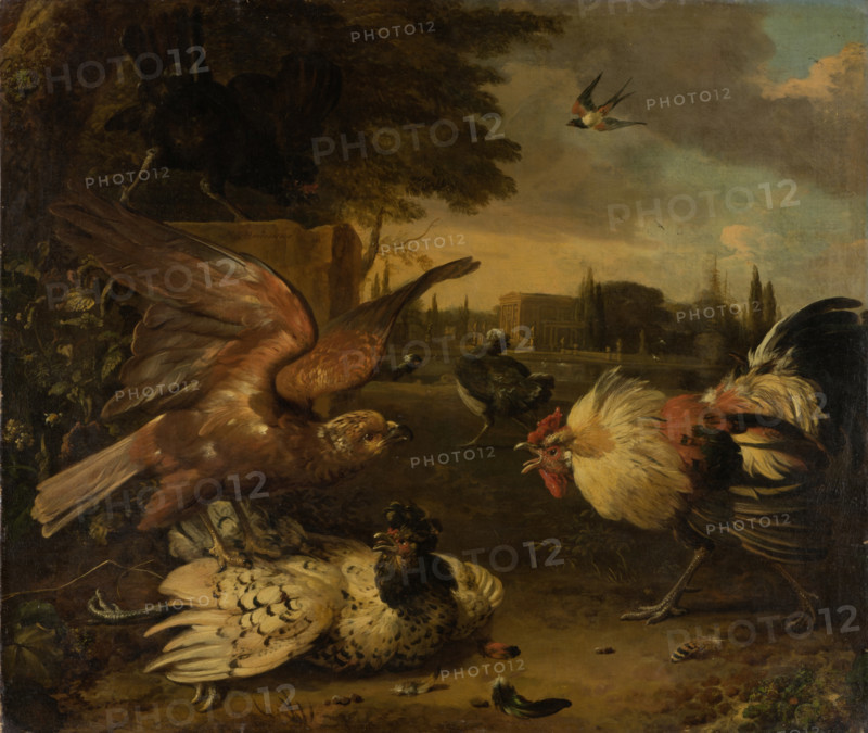 A Cock Defends a Hen from an Attacking Bird of Prey, c1680-1690. Creator: Melchior d'Hondecoeter.