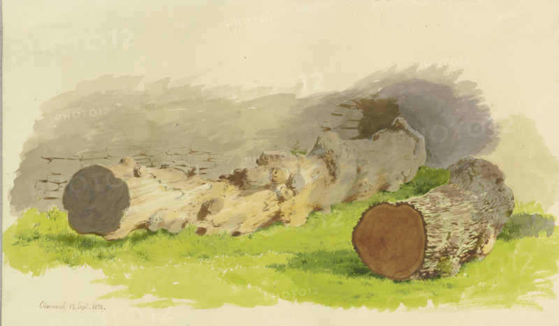 Sawed-off tree trunks in front of a wall in Oberwesel, 1858. Creator: Carl Theodor Reiffenstein.