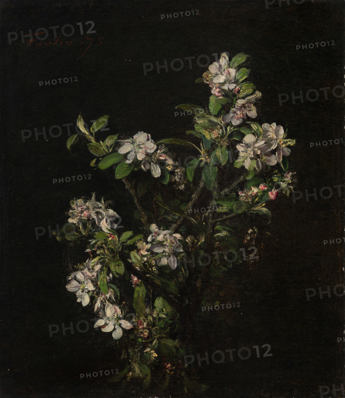 Blossoming branch of an apple tree, 1875. Creator: Henri Fantin-Latour.