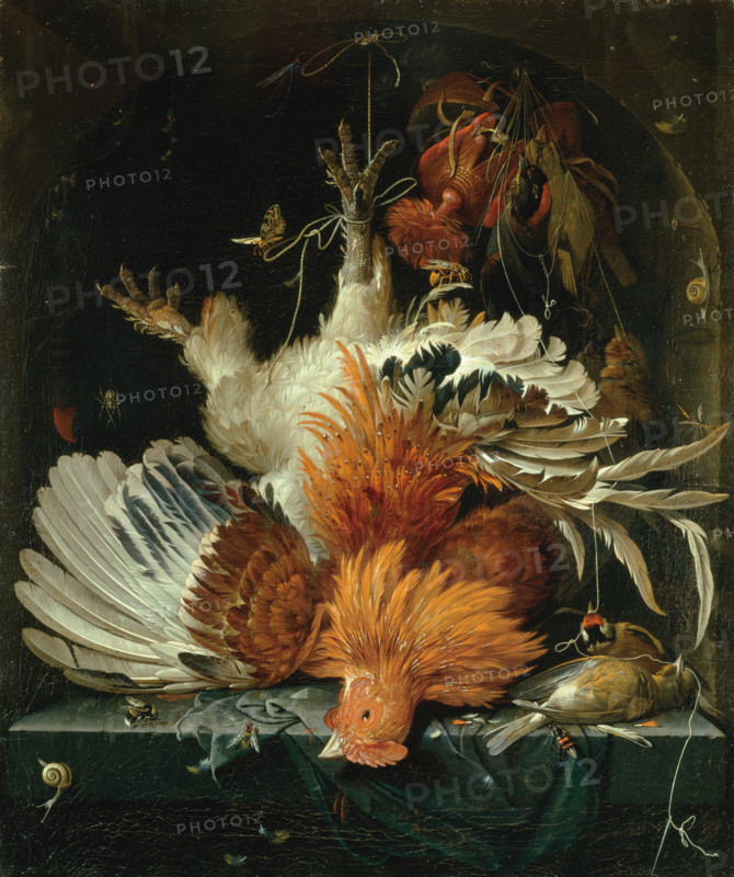 Still life with Dead Poultry, c1663-1664. Creator: Abraham Mignon.