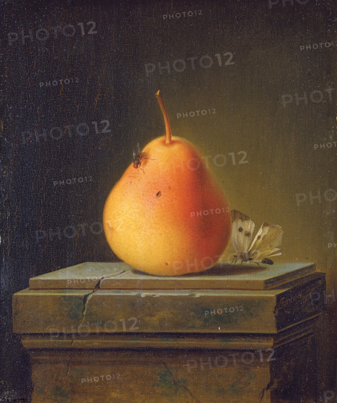 Still Life with Pear and Insects, 1765. Creator: Justus Juncker.