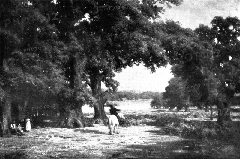 Pictures from the Royal Academy: Through The Forest - C. E. Johnson, 1898. Creator: Unknown.