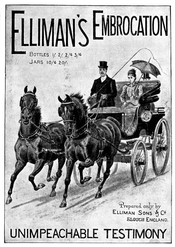 Advertisement for Elliman's Embrocation, 1898. Creator: Unknown.