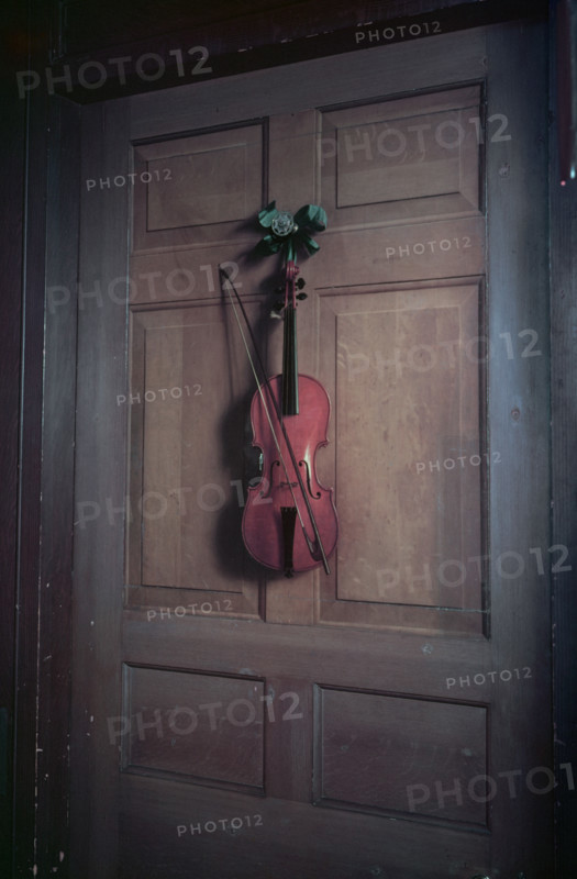Violin on a door painted by Jan van der Vaart, Chatsworth House, Derbyshire, c1955. Creator: Arthur Charles Kirby Ware.