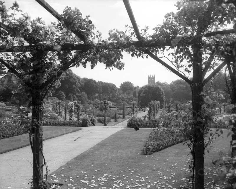 Kingsnorth Gardens, Folkestone, Kent, c1955.  Creator: Arthur Charles Kirby Ware.