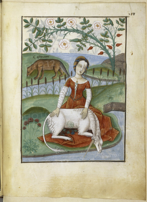 Unicorn. Livre des simples médecines, 16th century. Creator: Anonymous.
