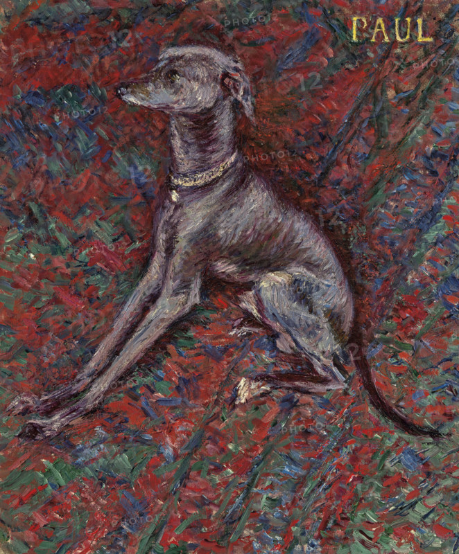 The dog "Paul", c1886. Creator: Caillebotte, Gustave (1848-1894).