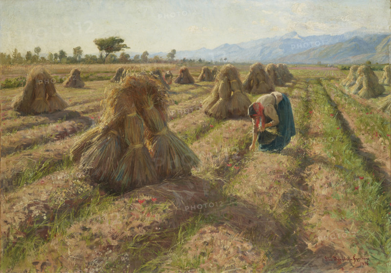 Harvest, 1898. Creator: Danielson-Gambogi, Elin (1861-1919).