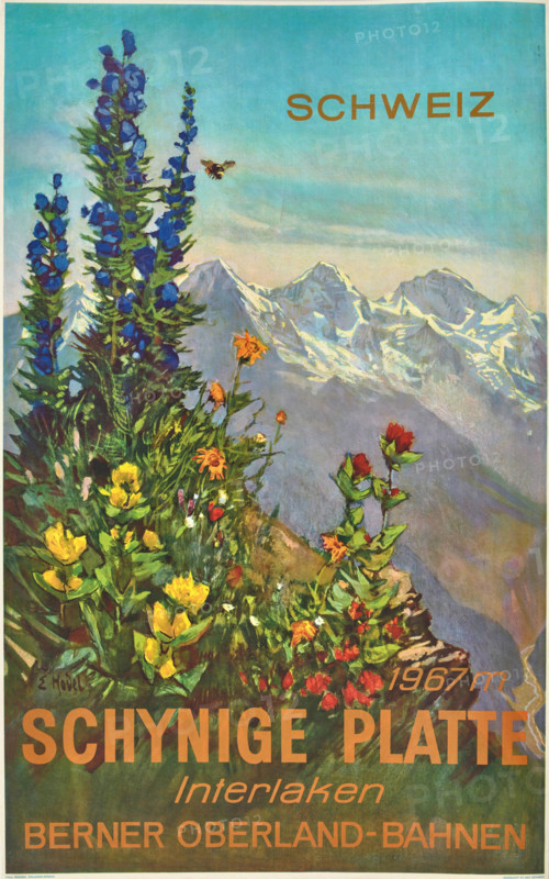 Schynige Platte, 1952. Creator: Hodel, Ernst (1881-1955).