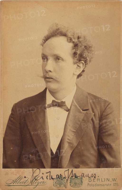 Portrait of the composer Richard Strauss (1864-1949), c1904. Creator: Meyer, Albert (1857-1924).