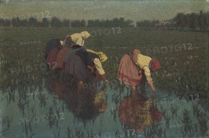 Rice workers, 1897. Creator: Morbelli, Angelo (1853-1919).