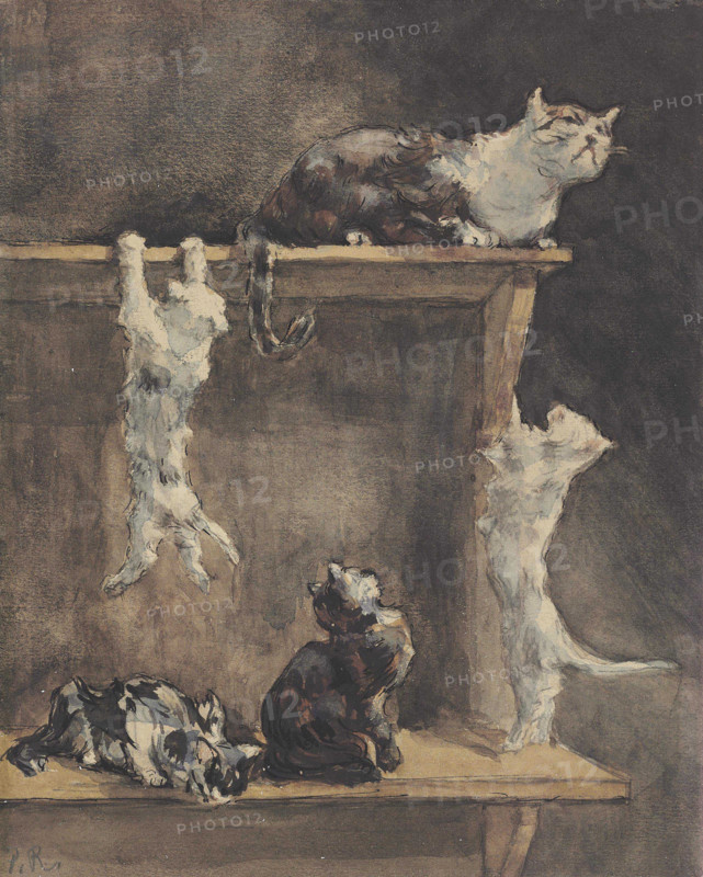 Cats and kittens on a dresser. Creator: Renouard, Paul (1845-1924).