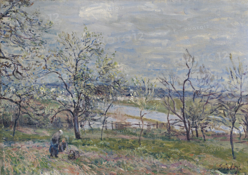 Spring in Veneux-Nadon, 1882. Creator: Sisley, Alfred (1839-1899).