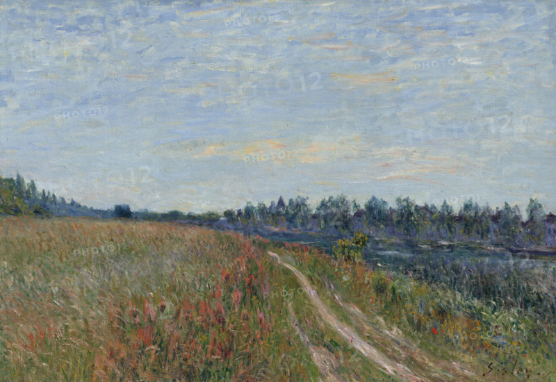 The meadow, c1880. Creator: Sisley, Alfred (1839-1899).