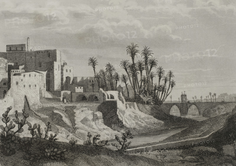 Elche, Alicante province, Spain, 1853.  Creator: Antonio Roca Sallent.