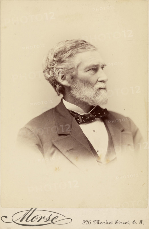 George Davidson, about 1884. Creator: George Daniels Morse.