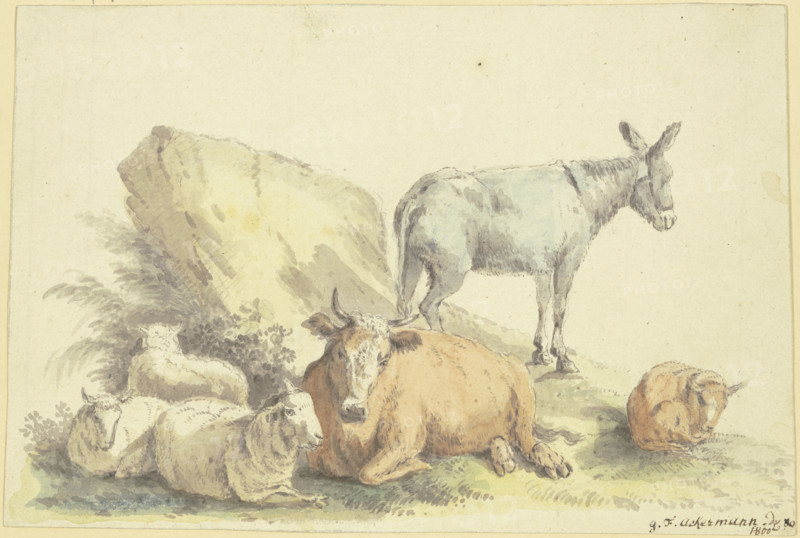 A cow, three sheep, a donkey, and a calf, 1800. Creator: Georg Friedrich Ackermann.