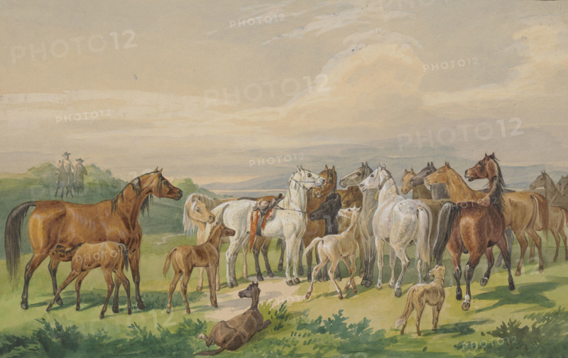 A saddled military horse returns to its wild herd, 19th century. Creator: Johann Erdmann Gottlieb Prestel.