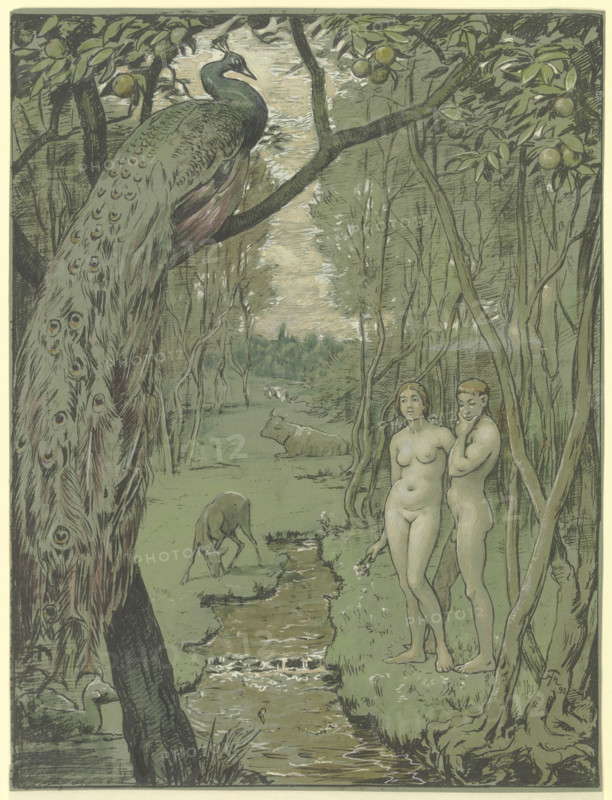 Paradise with Peacock, 1892. Creator: Unknown.