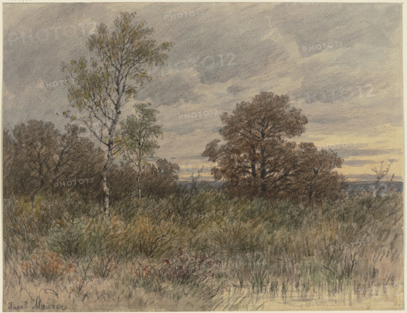 Rainy landscape with oaks and birches standing in marshy terrain, 19th century. Creator: Jakob Maurer.