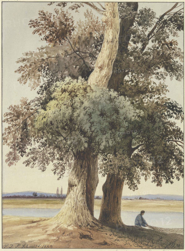 Two trees on the river, 1833. Creator: Ludwig Daniel Philipp Schmidt.
