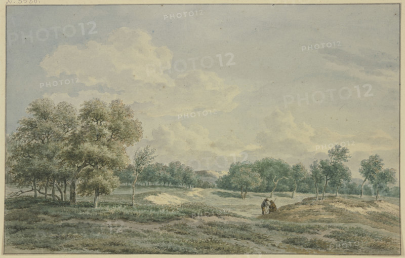 In t'Duin te Bloemendaal, 1801. Creator: Jan Evert Grave.