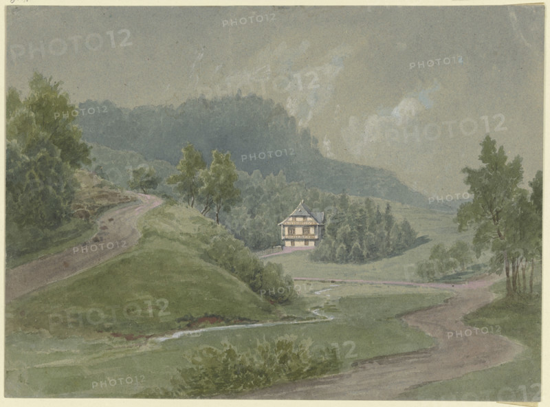Section of the Odenwald?, 19th century. Creator: Karl Peter Burnitz.